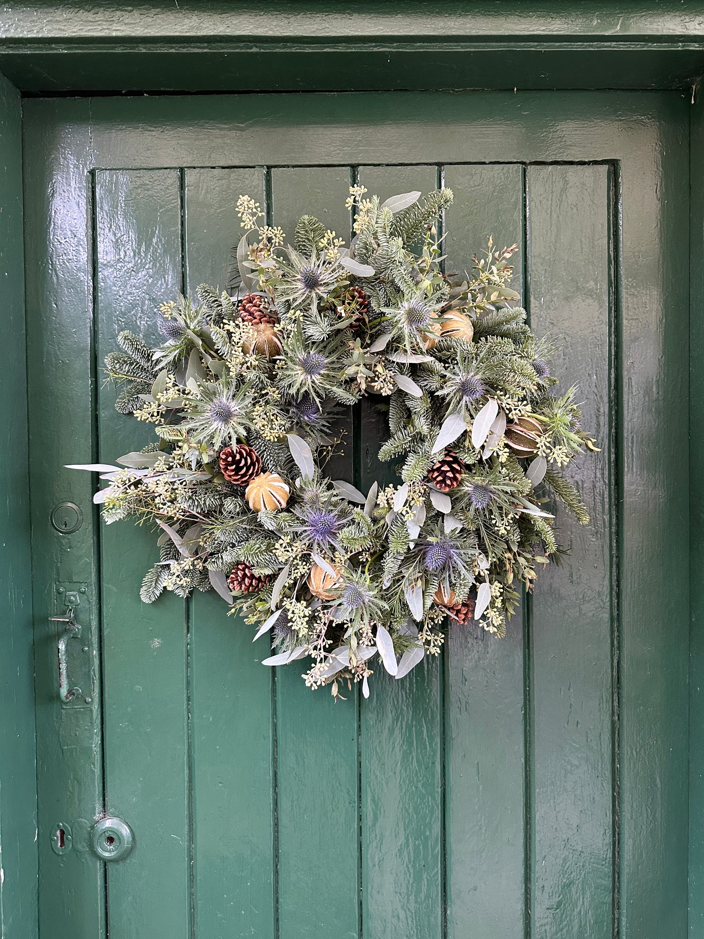 Create your own Fresh Christmas Wreath - Wreath Making Kit