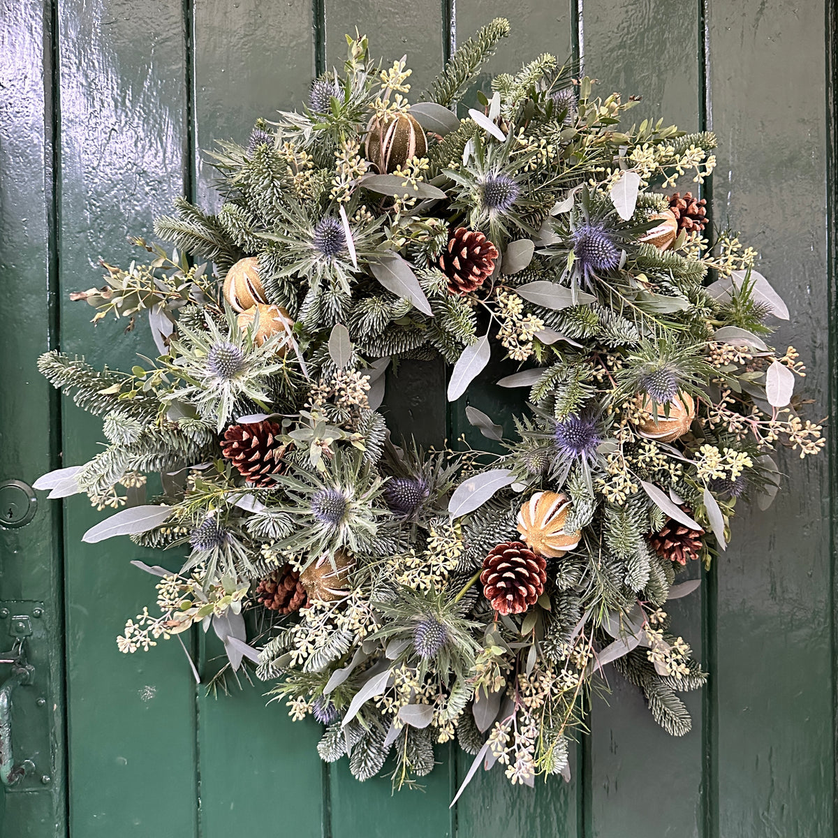 Create your own Fresh Christmas Wreath - Wreath Making Kit